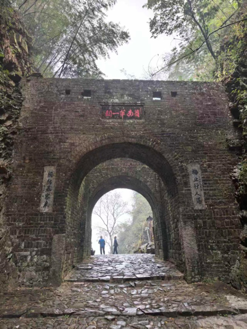 图片3_副本.jpg